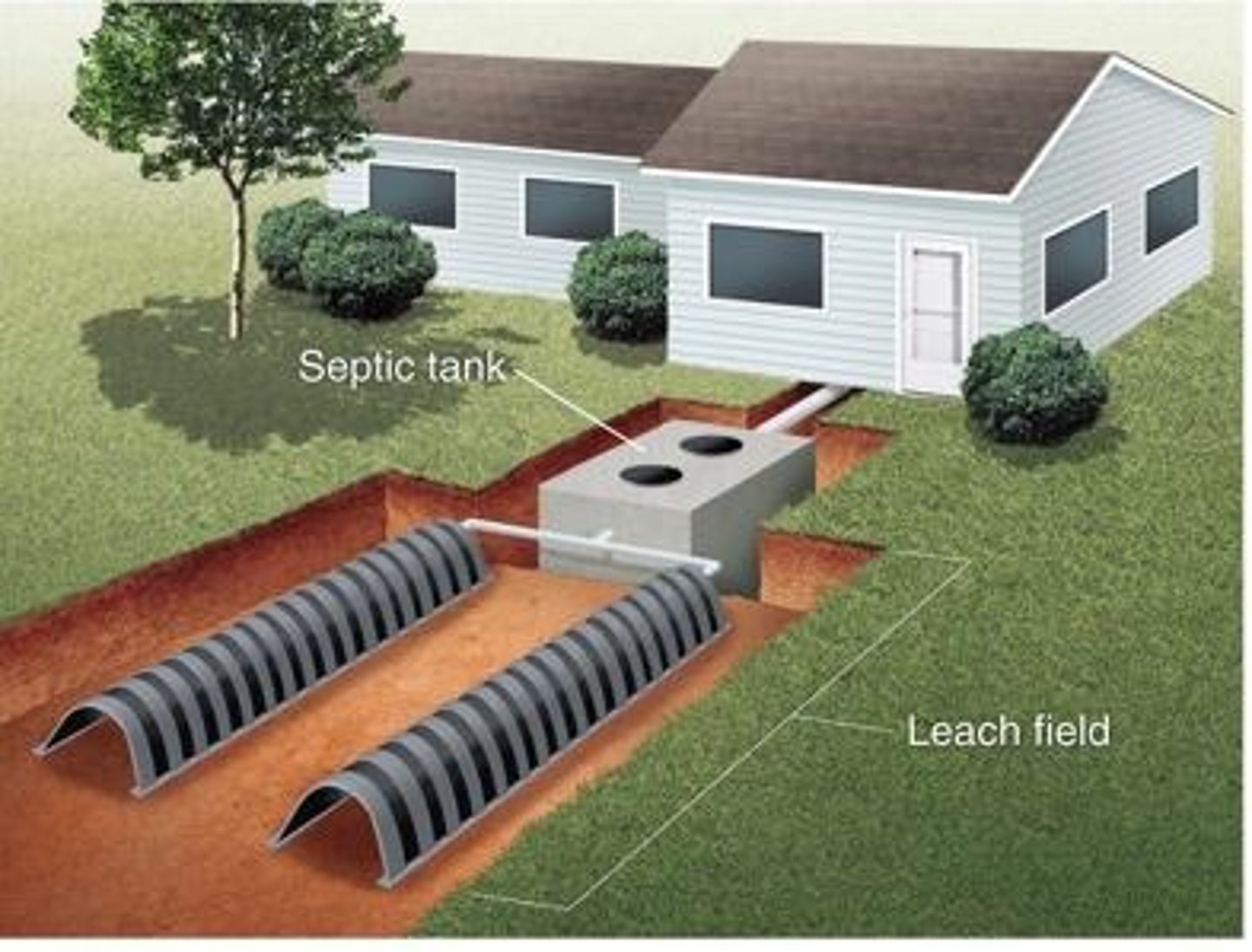 <p>A component of a septic system, made up of underground pipes laid out below the surface of the ground.</p>
