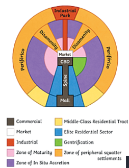 <p>Characterized by “spine” from the modernized CBD in the center, through wealthy housing and  connects to a secondary urban center called the mall</p><ul><li><p><strong>Spine</strong>: High-end commercial sector</p></li><li><p><strong>Market</strong>: traditional market</p></li></ul><p><span style="color: red">housing becomes less expensive farther from the CBD due to lack of critical infrastructure</span></p><ul><li><p><strong>Disamenety Zones</strong>: Typpicaly steep, mountainous locations <span style="color: red">that are not connected to city services due to dangerous terrain </span>(chiled protective services)</p></li></ul>