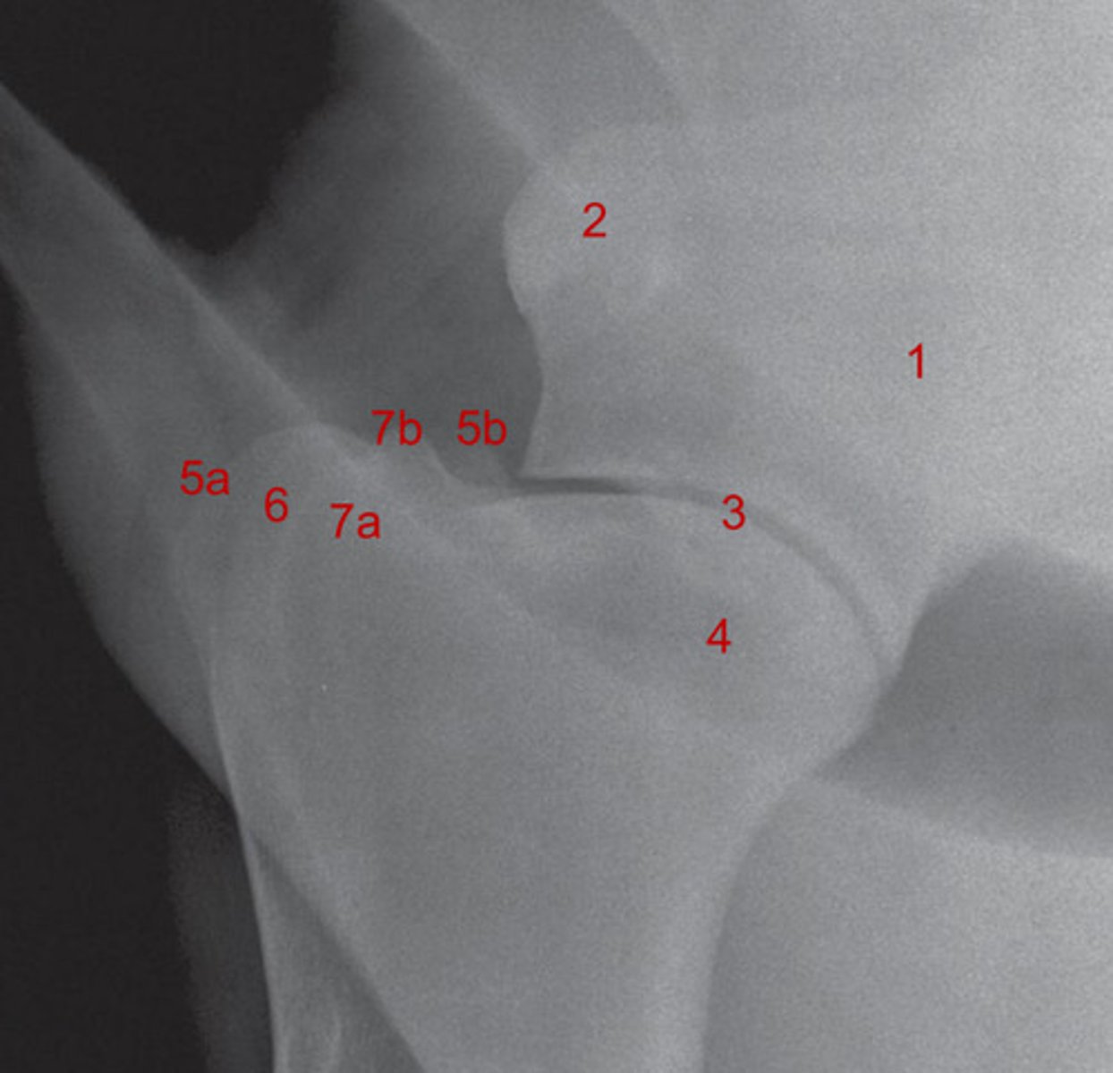 <p>What is 3?</p>