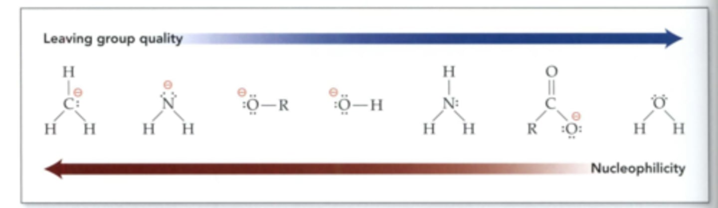 <p>- nucleus loving</p><p>-lone pairs or pi</p><p>-good bases (more basic--&gt;more reactive)</p><p>-most Nu: C, H, O, N</p><p>-more Nu, more (-)</p><p>-more bulkier, less Nu</p><p>-Strong Nu: RNH2, HO-, RO-, CN-, N3-</p><p>-weak Nu: H2O, ROH, RCOOH</p><p>-fair Nu: NH3, RCO2-</p>