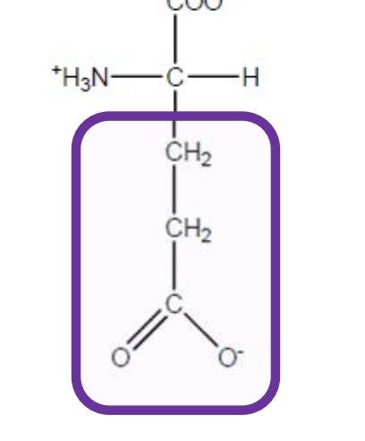 <p>Glu-E-polar and negatively charged  - both are acidic due extra carboxyl</p>