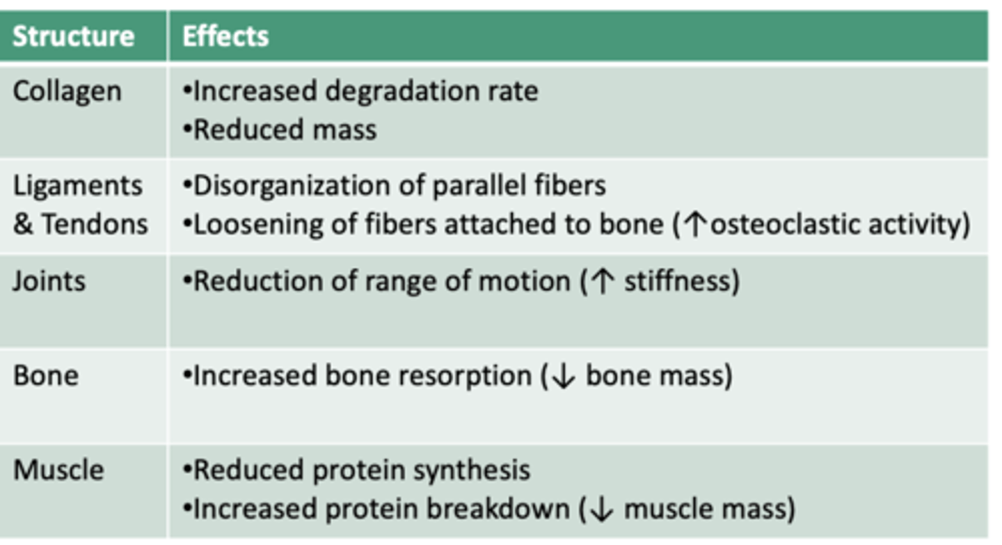 <p>What can a patient do to regain mass &amp; function after immobilization (disuse atrophy)?</p>