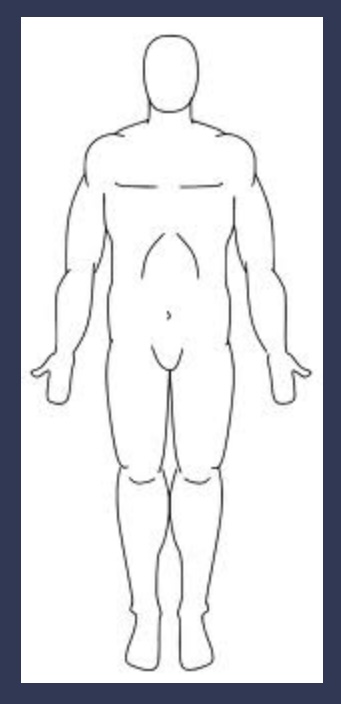 <p><span>Erect Standing (anatomic)</span></p>