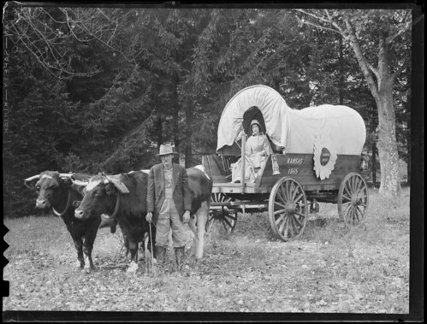 <p>the wagon the pioneers used to move their stuff</p>