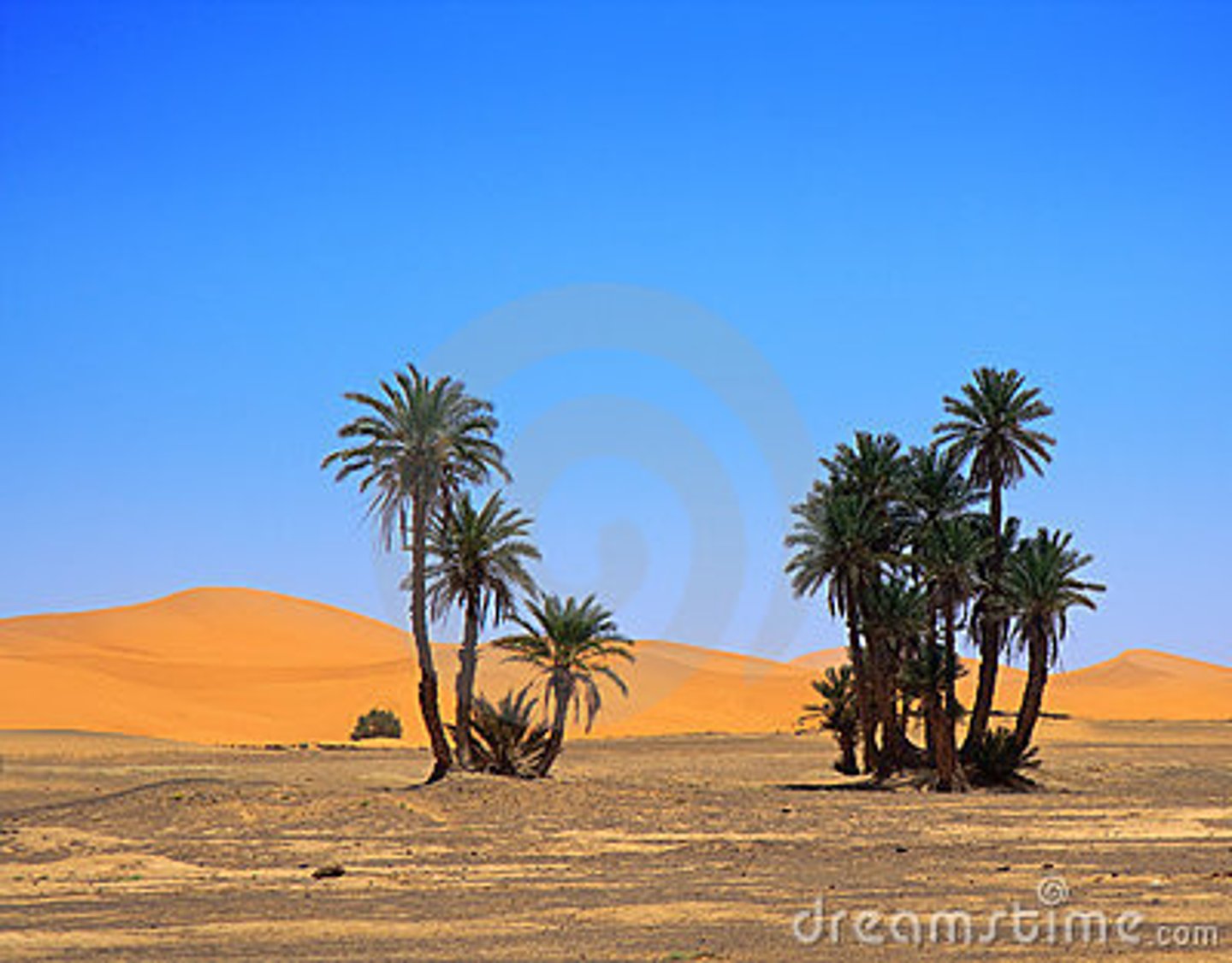 <p>wàn lǐ wú yún <br>cloudless</p>