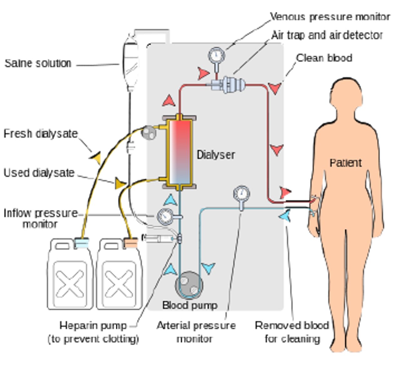 <p>A: Lower infection risk</p><p>A: Required less often</p><p>D: Must be done in hospital</p><p>D: Requires specialist equipment</p>