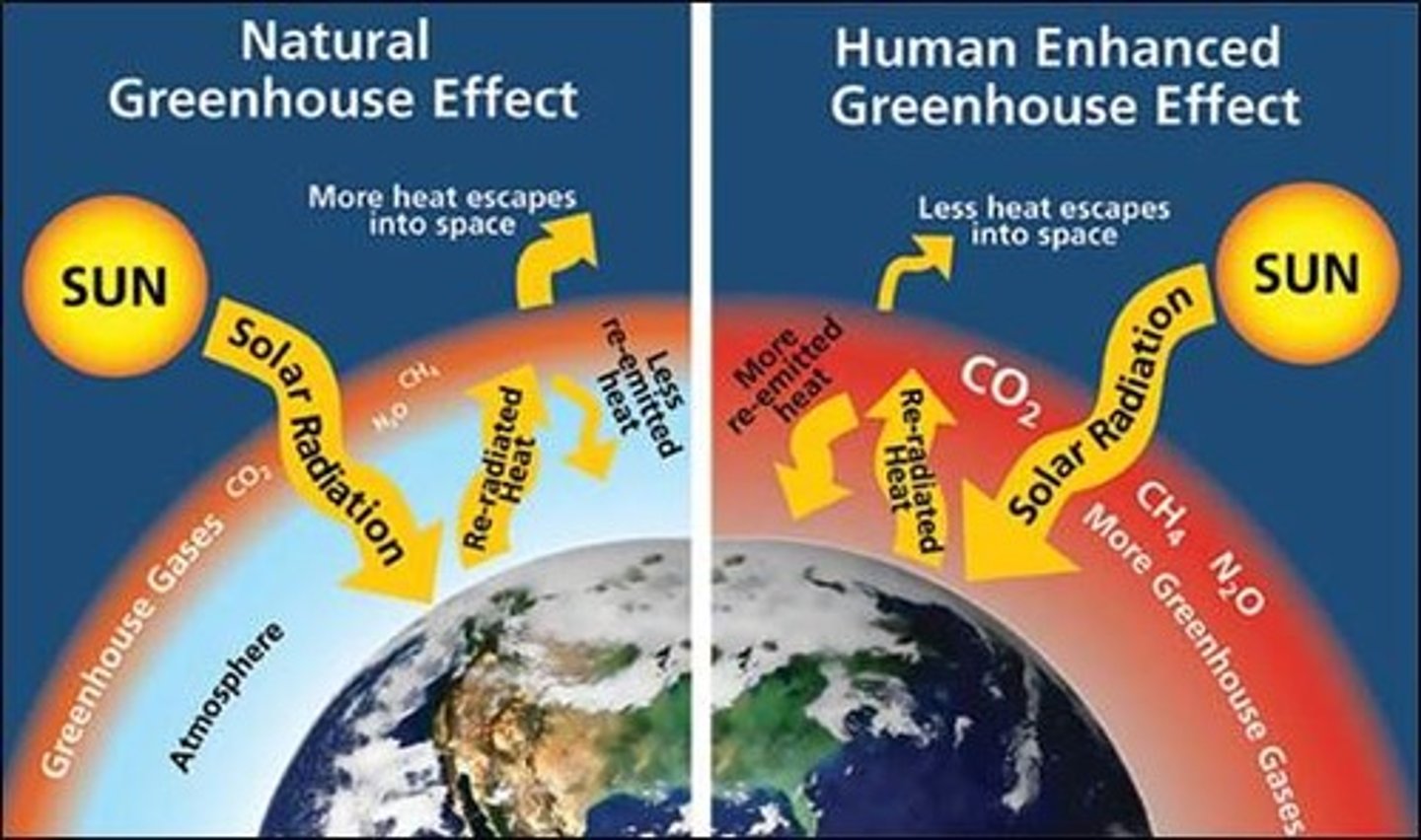 <p>the increased capacity of the atmosphere to trap thermal energy because of an increase in greenhouse gases</p>