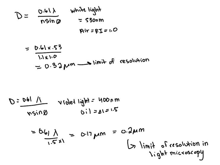 <p><strong>D = (0.61*</strong><span><strong>λ) / (n*sinø)</strong></span></p><ul><li><p><span>n*sinø = numerical aperture (N.A)</span></p></li><li><p><span>sinø = maximum amount of light collected (1.0)</span></p></li><li><p><span>λ = wavelength</span></p></li><li><p><span>n = refractive index (R.I)</span></p><ul><li><p>air =1.0</p></li><li><p>oil = 1.5</p></li><li><p>H<sub>2</sub>O = 1.3</p></li></ul></li></ul><p></p>
