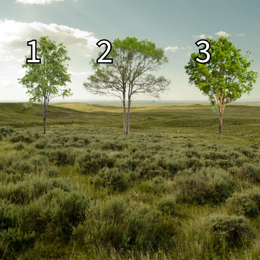 <p><strong>番</strong></p><p>Words:</p><p>番号　ばんごう　Number　</p><p>番組　ばんぐみ　TV program</p>