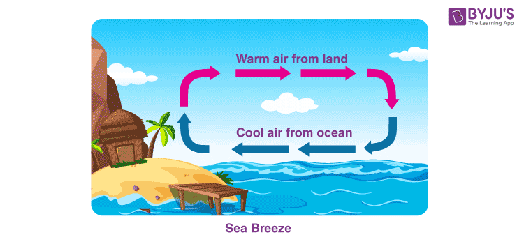 <ul><li><p>Occurs during the day</p></li><li><p>Land heats up more quickly → hotter than the sea</p></li><li><p>Wind blows from sea (H) → land (L)</p></li></ul><p></p>