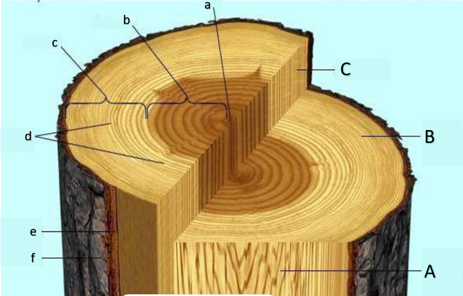 <p>b</p>