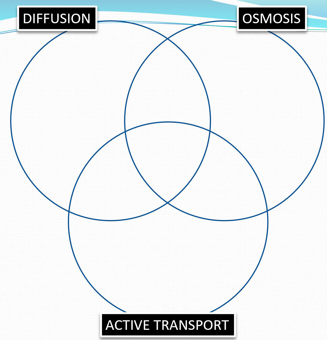 <p>Compare diffusion, osmosis and active transport</p>