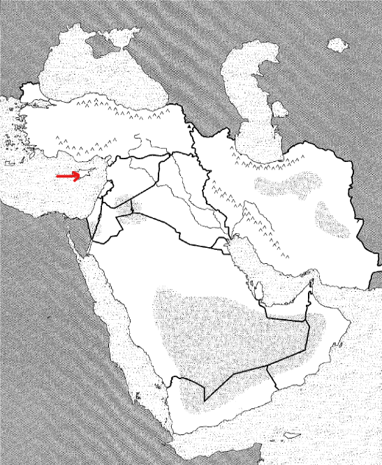 <p>Political</p>