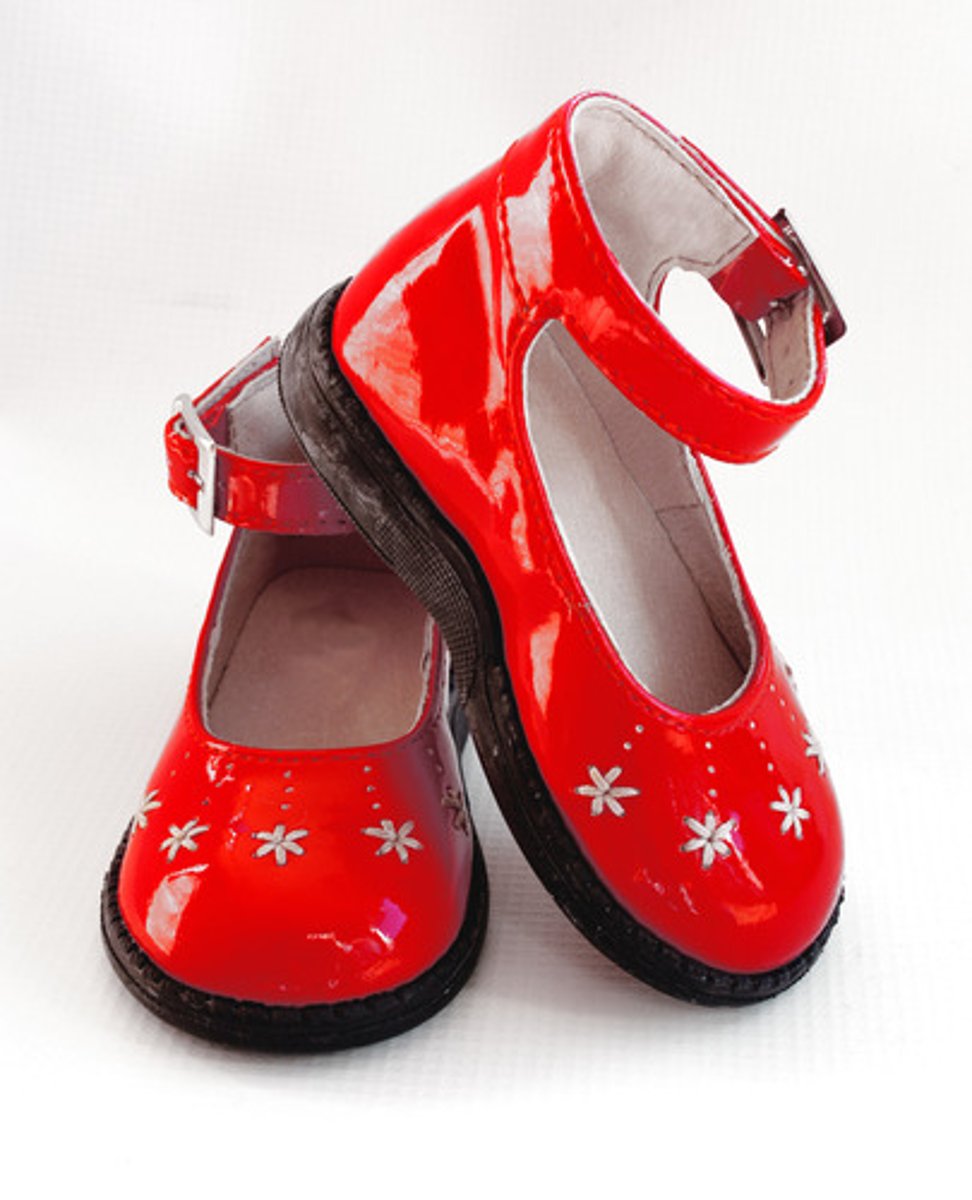 <p>le scarpe</p>