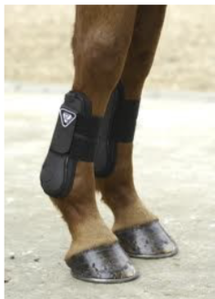 <p>what piece of tack does this image show?</p>