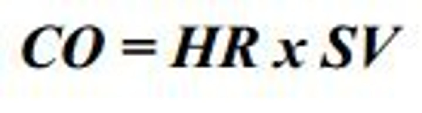 <p>The amount of blood pumped by a single ventricle in one minute. HR x SV = CO</p>