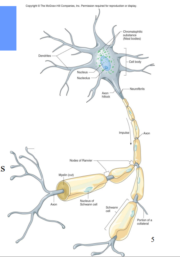 <p>Label the diagram </p>