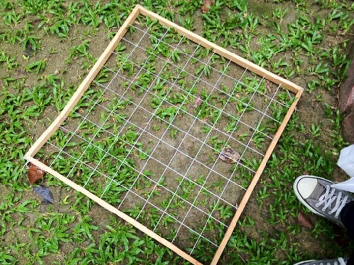 <p>rectangular, known dimensions, est. pop. densities <br>- placed at regular intervals along transect line<br>- showing changing distribution patterns of species (in response to another species or abiotic variable)<br>- used to identify optimal conditions<br>- count how many organisms of a species are w/in each quadrat (has to be used on non-mobile organism)</p>