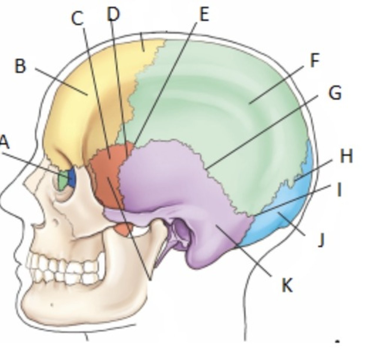 <p>What is A?</p>