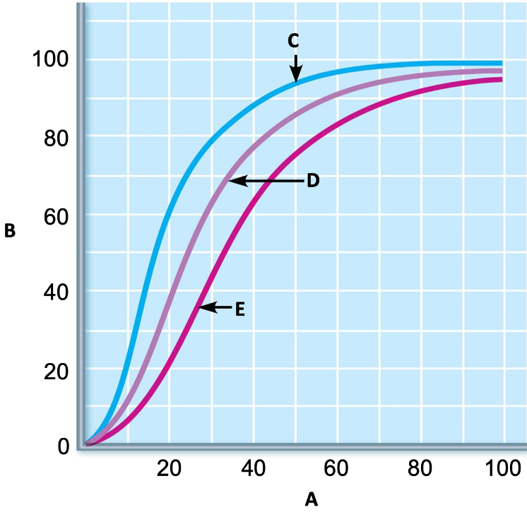 <p>E</p>