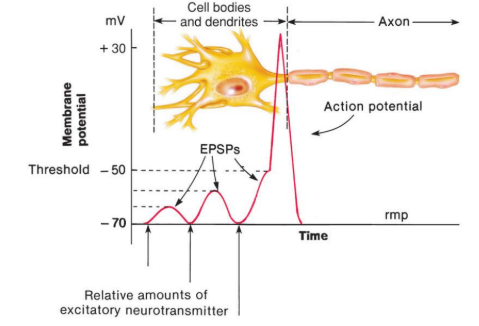 <p>what does it mean</p>