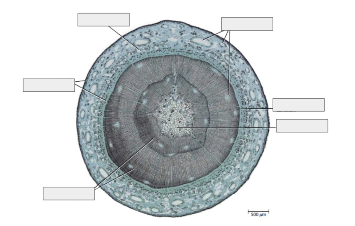 <p>what is this?</p>