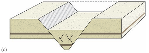 <p>normal faults dipping toward each other create a downthrown block</p>
