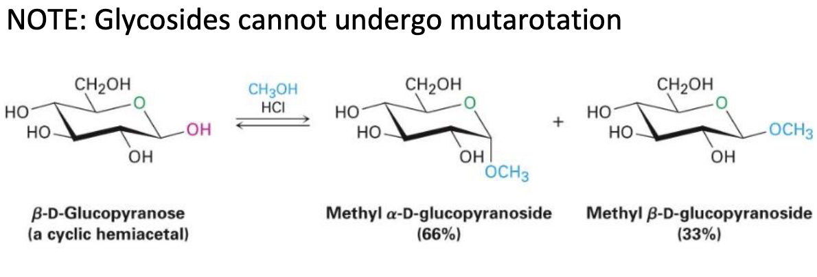 <p>turns hemiacetal to acetal OR replaces anomeric OH with OR</p>