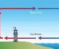 movement of air from sea to land during the day when cooler air from above the water moves over the land, forcing the heated, less dense air above the land to rise
