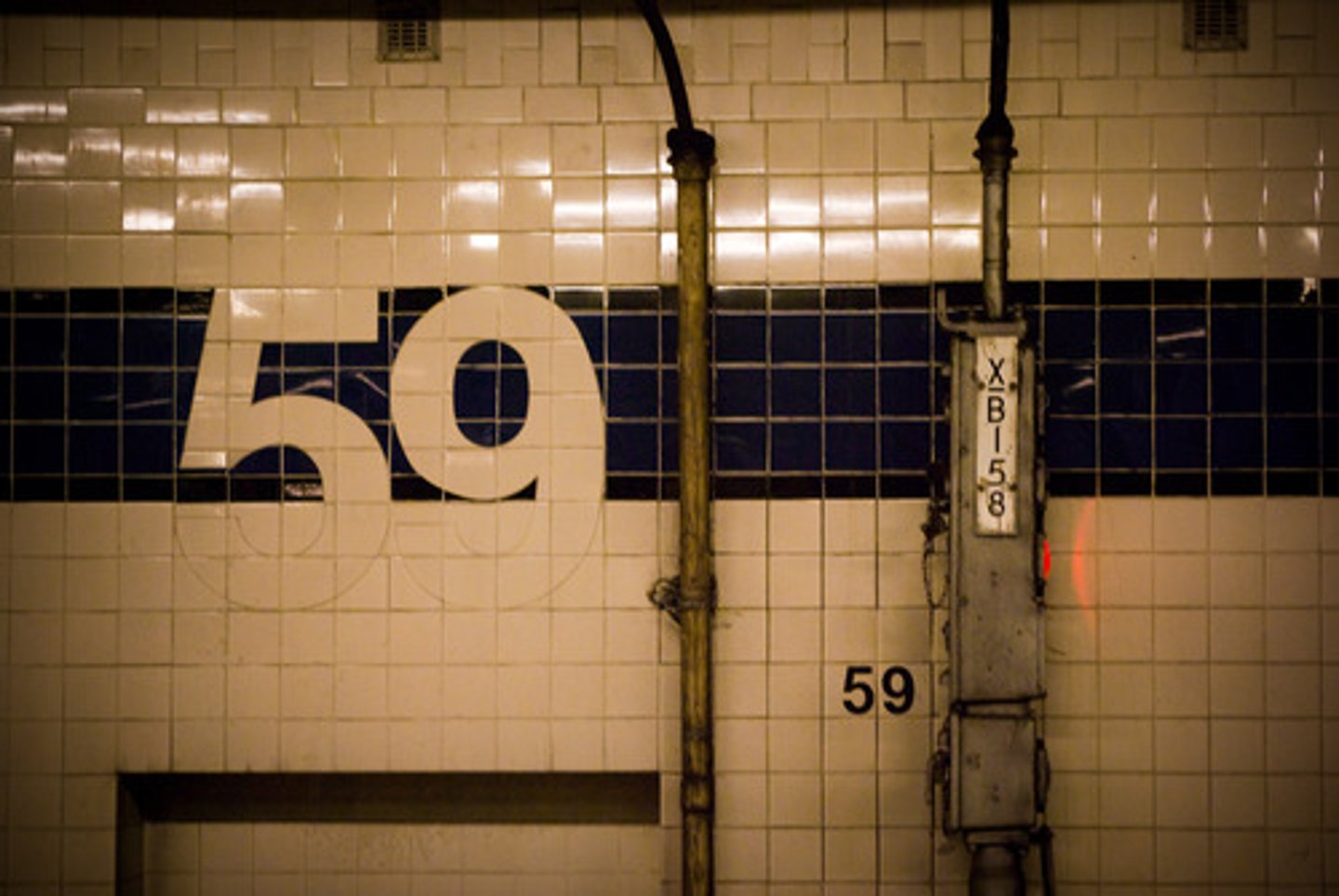 <p>59</p>