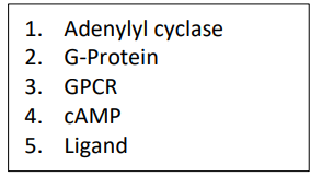 MATCHING: Match the following components related to cell signaling 

a. Epinephrine 

b. Intergral membrane protein receptor 

c. Intergral membrane protein enzyme 

d. Peripheral membrane protein that binds GTP 

e. Second messenger generated from ATP 