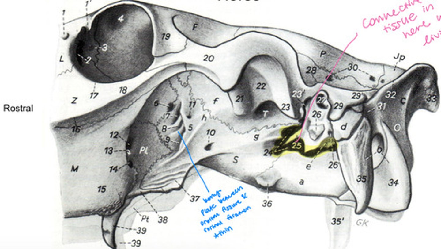 <p>What's highlighted in yellow?</p>