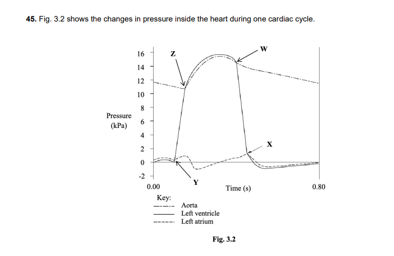 <p>Describe the events taking place at the points marked W, X, Y and Z and explain how these events are related to the changes in pressure shown in the diagram.</p>
