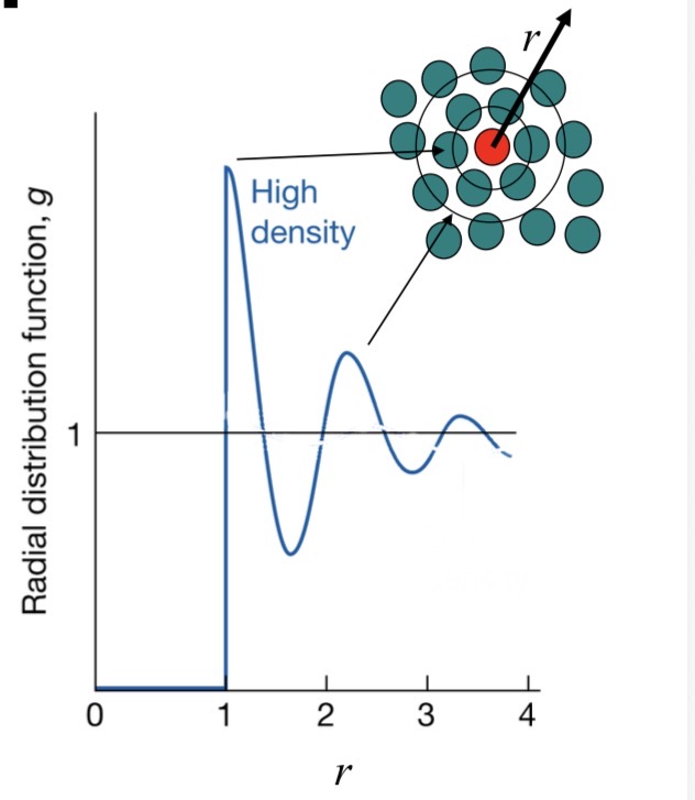 <ul><li><p>First peak → nearest neighbours</p></li><li><p>Oscillations decay → no long-range structure</p></li></ul><p></p>