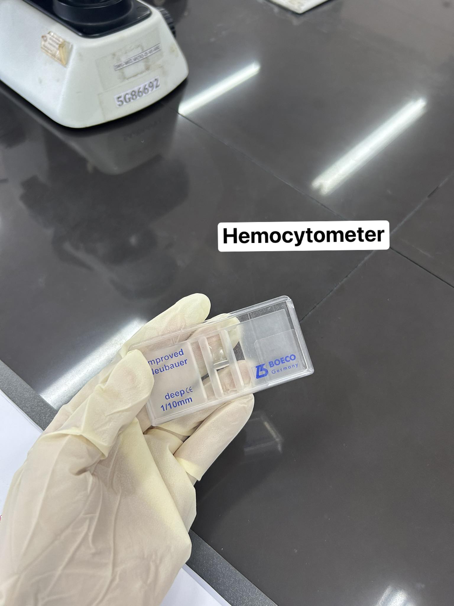 <p>Hemocytometer</p>