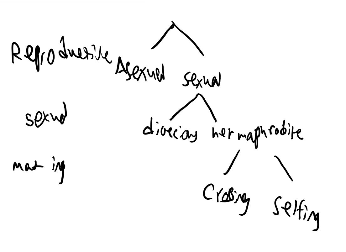 <p>Note: Remember Parthenogenesis Vs. Clonal Propagation</p>