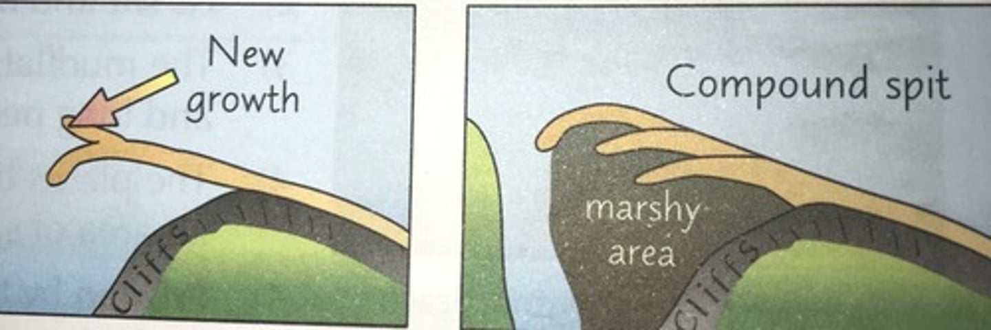 <p>A simple spit is a straight or hooked ridge of sediment, while a compound spit has multiple recurved ridges or minor spits along its landward edge.</p>