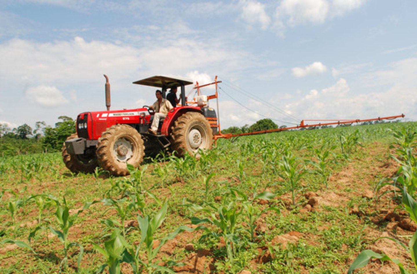 <p>relacionado con la agricultura</p>