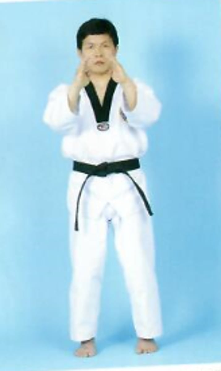 <p>Ready stance</p>