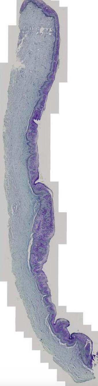 <p>What is this?</p>