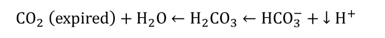 <p>hyperventilation</p><ul><li><p>blowing off CO2 faster than the body can produce it</p></li><li><p>Pushes the CO2 reaction to the left</p></li><li><p>reduces H+ ions, raising pH back to normal</p></li></ul><p></p>