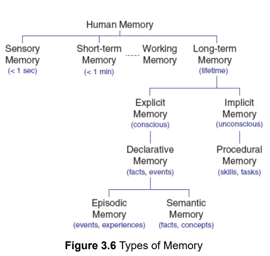 <p>how we gain the knowledge that we accumulate over our lifetimes</p>