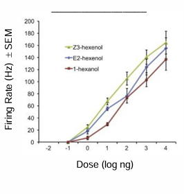 <p>what kind of code is illustrated by the graph</p>