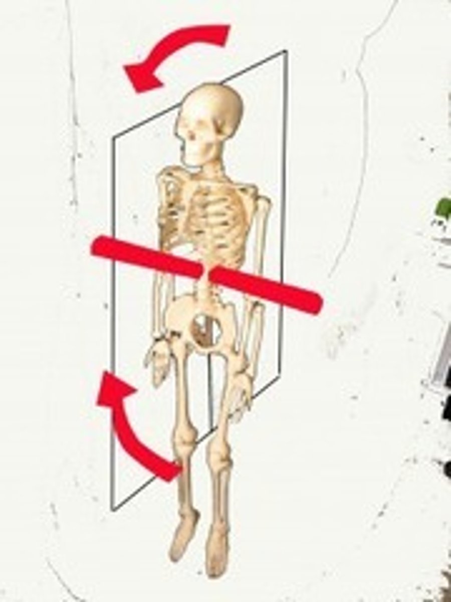 <p>- perpendicular to the sagittal plane</p><p>- limiting motion to side-to-side</p>