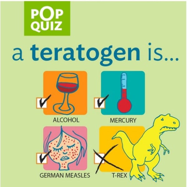 <p>teratogens</p>