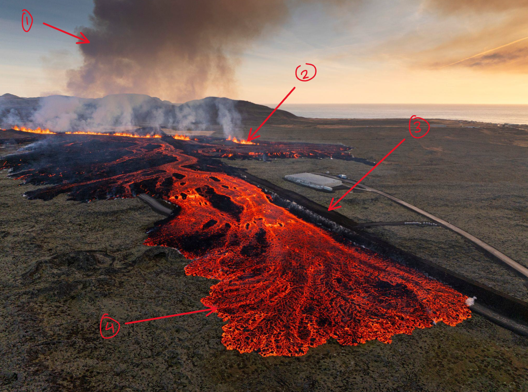 <p>Describe the elements seen in this picture</p>