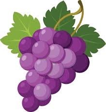 <p>What’s a true fruit?</p>