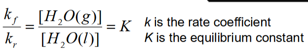 <p>k<sub>f</sub>[H<sub>2</sub>O(l)] = k<sub>r</sub>[H<sub>2</sub>O(g)]</p><p>note rates of forward + reverse reactions are equal but rate coefficients are not the same</p>