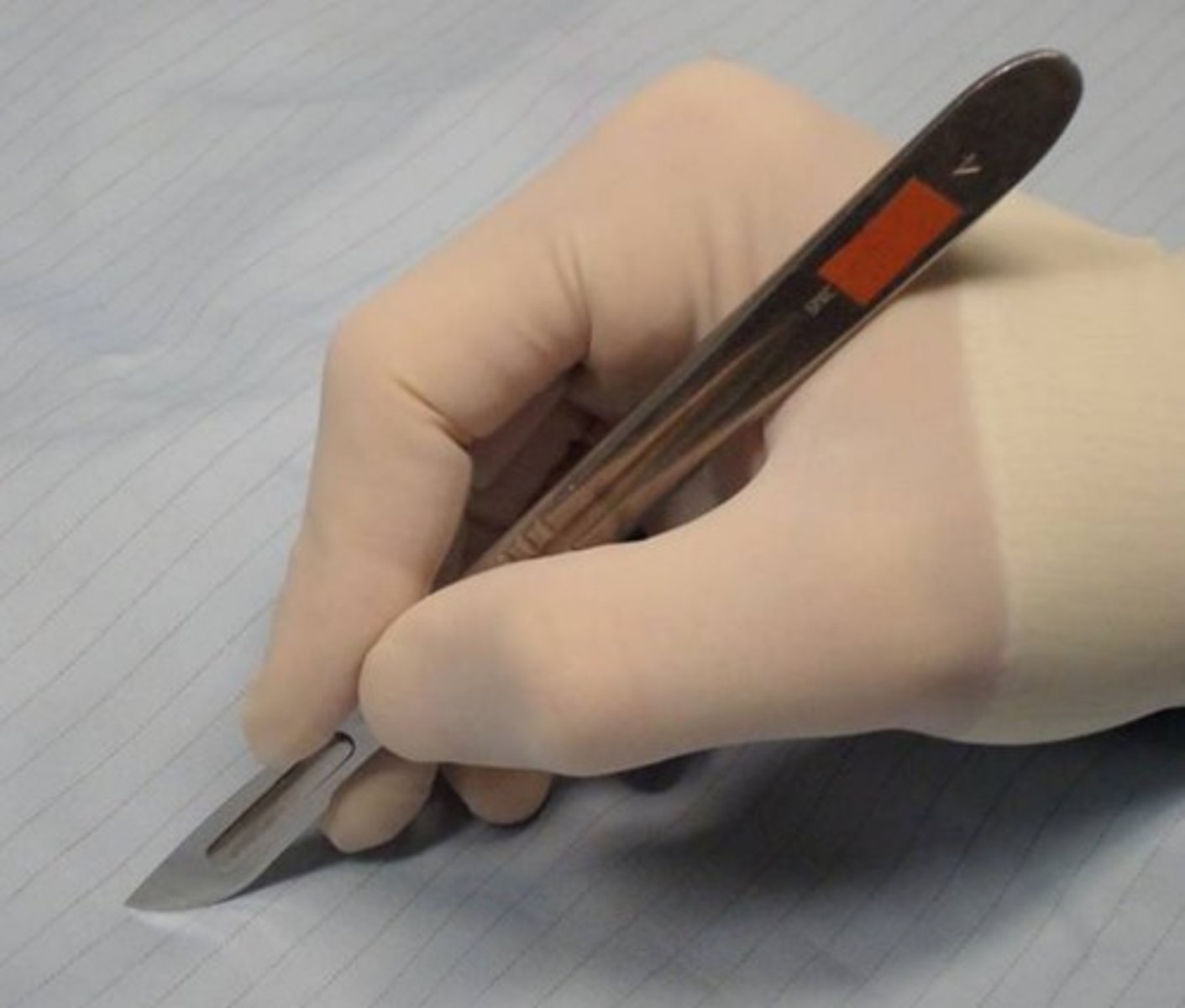 <p>Name the grip</p>