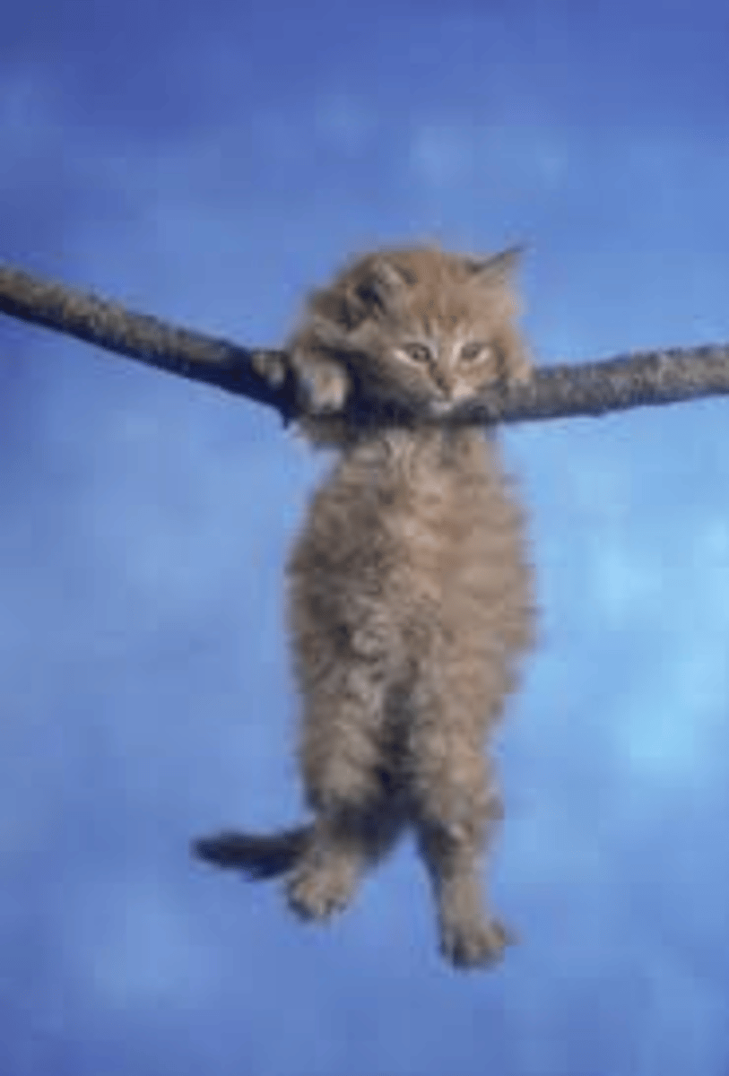 <p>hang</p>